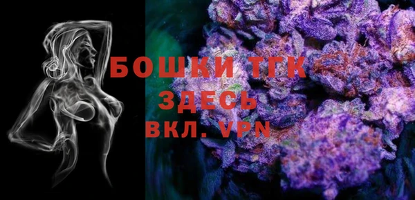 индика Бугульма