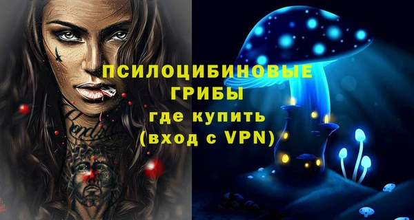 PSILOCYBIN Богородск
