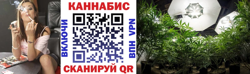 Бошки Шишки планчик  купить наркотики цена  Верещагино 